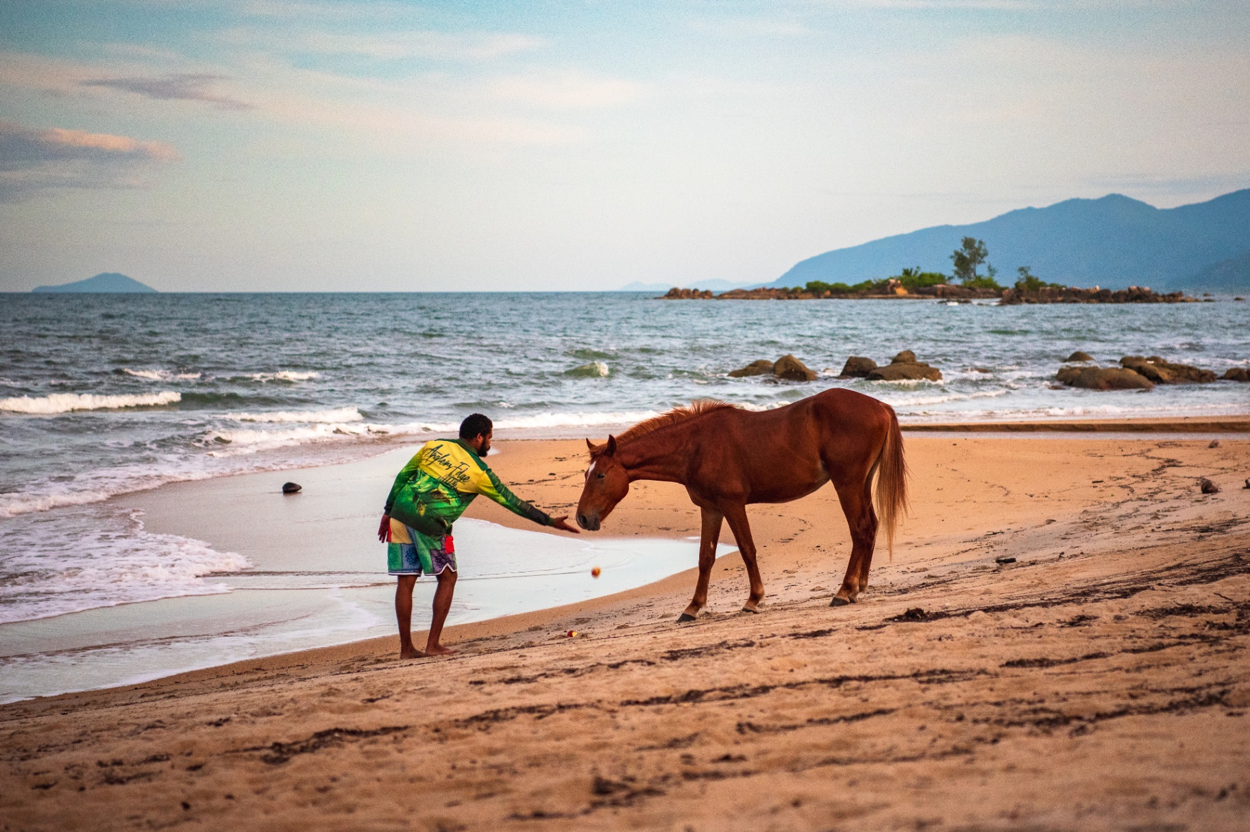 Brother meeting a horse at the water's edge
